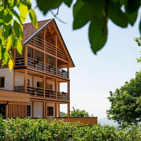 Hotel Schwengerer 3*