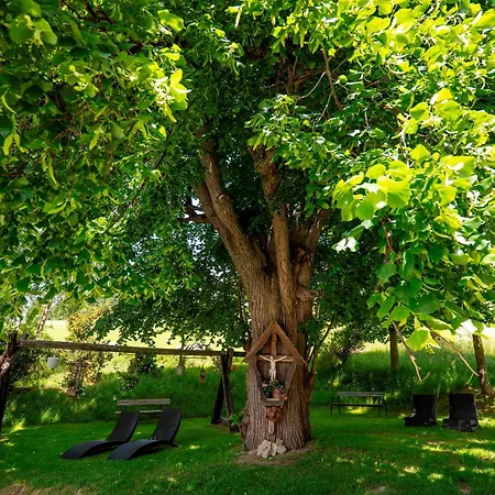 Schwengerer Szálloda 3*