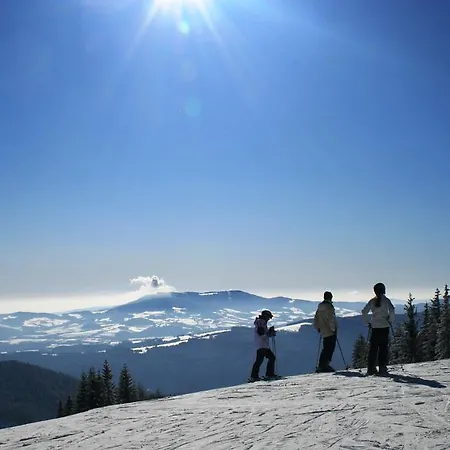 Schwengerer Monichwald
