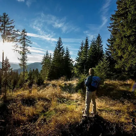 Schwengerer Monichwald