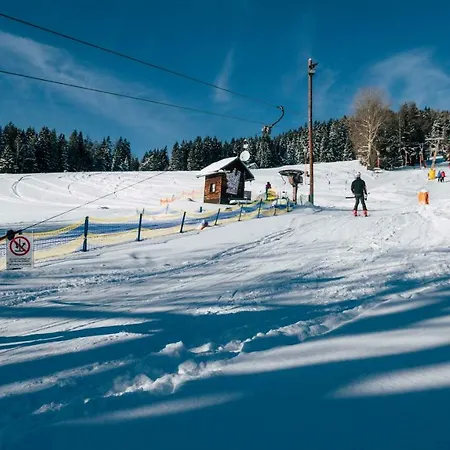Schwengerer 3*