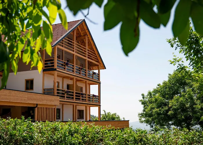 Hotel Schwengerer 3*