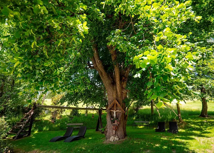 Schwengerer Hotel 3*