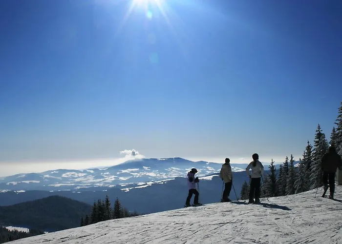 Schwengerer Monichwald
