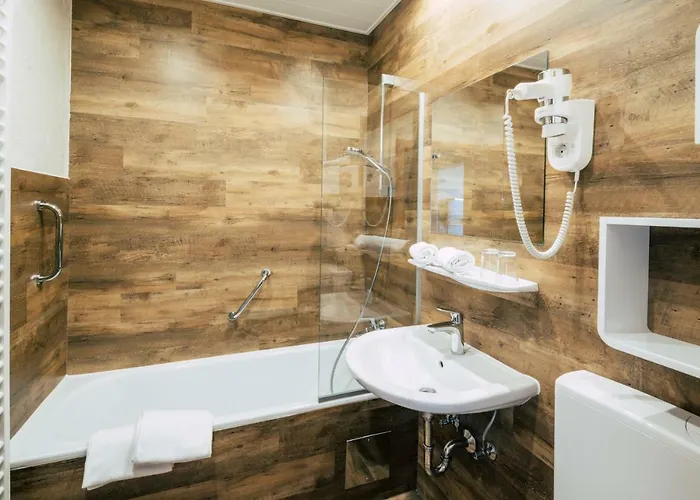 Hotel Schwengerer 3*